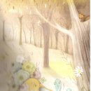 박성배 Daum카페