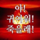 무양반려동물병원 네이버블로그