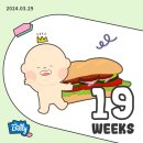 미락하누 | (임신 17~20주차) 드디어 입덧 졸업?! 체리와 함께한 체리블라썸🌸