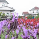 (주)허 브 이미지