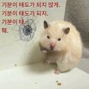 화대목장 | 룰루