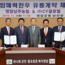 영암한우 이미지