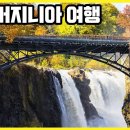 버지니아