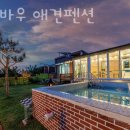 바우바우 | 파주독채펜션 바우바우 애견펜션 가격 위치 이벤트