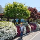 단산면 치안센터 이미지