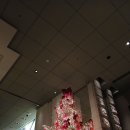 추혁진 가수님 제33회 대한민국 문화연예대상🏆🏆 이미지