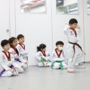 으뜸태권도 이미지