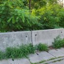 지인당구클럽 이미지