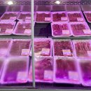 조은고기 백화점 이미지