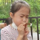 산새소리 | 산새소리 가족 숲 캠프 후기 - 광주교육바우처 우수기관 미래인재univ