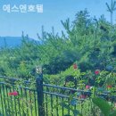 에스앤호텔 이미지