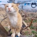 전씨농장 이미지