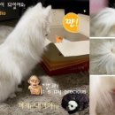 스튜디오키스 이미지