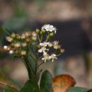 부농농장 이미지