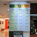 홀론공원 | 강원도 양양 속초 겨울 여행 오색탄산온천 국내 가족 온천 여행지 갈만한곳 추천