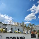 포랑PORANG