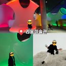 (주)드림하우스 | 공감각적 환경 1956-1976> 후기, 보테가베네타, 설치 공간 미술, M2 드림하우스, 가브리엘 오로즈코 정원