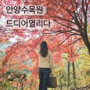 아이골프존 서울대지점 | 58년 만에 서울대학교 안양수목원 개방 단풍 실시간 후기 서울 근교 단풍명소