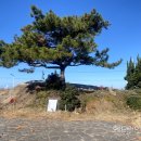 해안사구 이미지