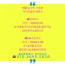라이티티아스킨앤네일
