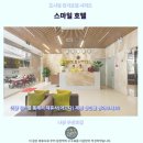 스마일카서비스 | 나짱 스마일 호텔 후기 가성비 갑 인생 숙소 추천