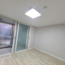 사파동119 이미지