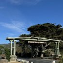 개똥아부탁해 | AUS 03 / 멜버른 / 그레이트오션로드