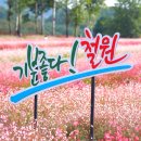 동송읍행정복지센터 이미지