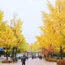 어린이대공원 제5호 이미지