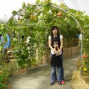 헤지스모텔 | 청산도를 떠나 담양 대나무 축제 현장으로...