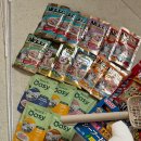 팡팡스토어 | 양재 at센터 궁디팡팡 캣페스타 후기 | 마루 선물 사러 갔다가 60만원 쓰고 왔어요