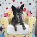 소답동143 이미지