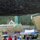 평창전통시장 | 평창 진부시장 맛집 ‘해오라기’ 후기(감자옹심이, 장칼국수)