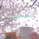 햇살상점 이미지