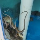 각산숯불갈비 이미지