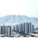 이나영공인중개사사무소 이미지