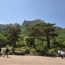 상쾌합니다☘️ 이미지