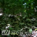 한라전설(주) 이미지