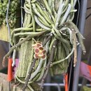 우성농원 이미지