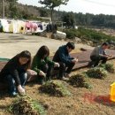 대천동주민센터 이미지