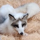 덕진체련공원 테니스장 이미지