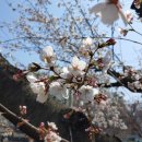 논산대로 이미지