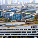 청사큰길 이미지