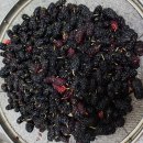 긴뿌리농장 이미지