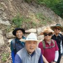 제456차 雙龍溪谷 生態숲길 5.19(火) 定期山行 이미지