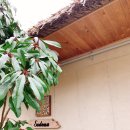 세도나 중문 이미지