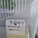 크레노바 - 거제시 계룡로2길 45 | 게코 릴리화이트 입양후기