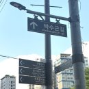 창신동완구거리 주차장 /동묘- 완구거리 -파충류거리 반나절코스 추천 /주차장 정보