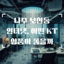 나주 보산동 올레 KT기가 인터넷 가입, 확실히 대비해야 할