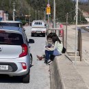 경상북도교육청 울진도서관 이미지